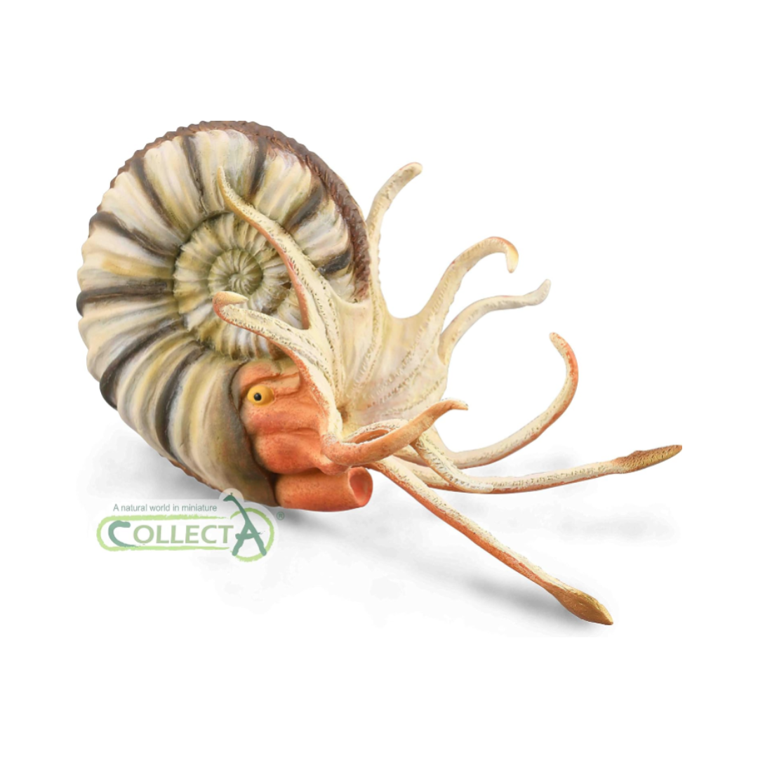 COLLECTA 88902 Pre-Eurocellus Ammonite Dinosaur Figure