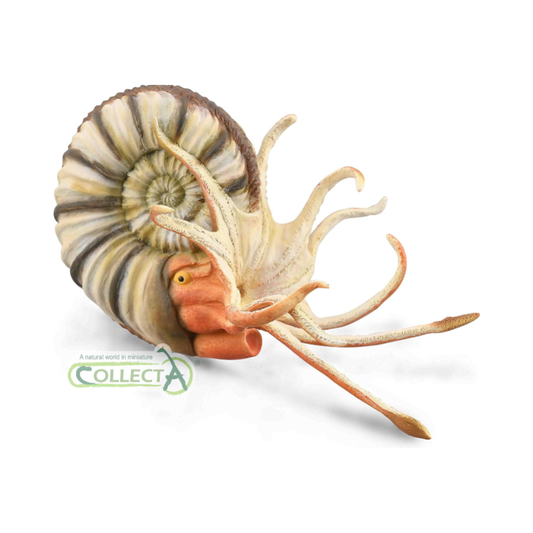 COLLECTA 88902 Pre-Eurocellus Ammonite Dinosaur Figure