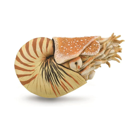 COLLECTA 88907 Nautilus Dinosaur Figure