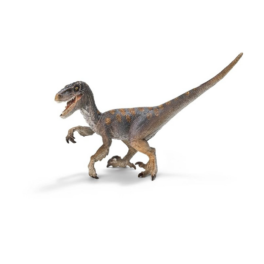 Schleich Velociraptor