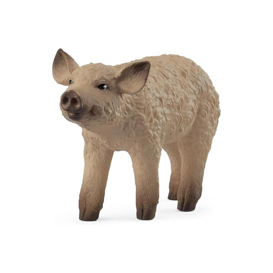 Schleich Farm World Mangalica (Kid) 14893