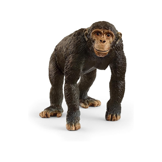 Schleich Wildlife Chimpanzee 14883