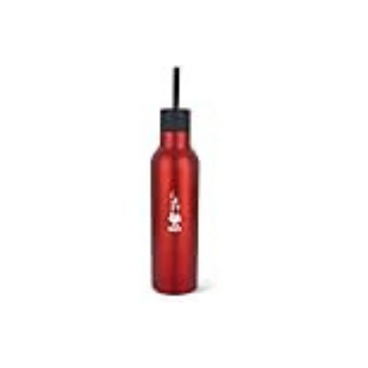 Bialetti Thermo-Water Bottle, Stainless Steel Bottle, Vacuum Insulated