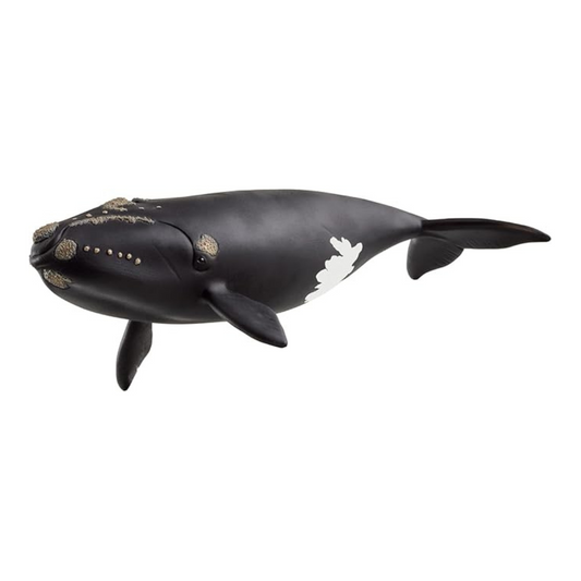 Schleich Wildlife 14878