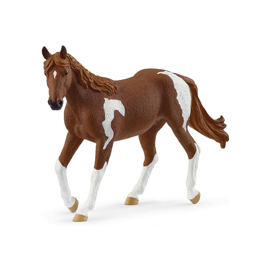 Schleich Hose Club Paint Hose Female 14901