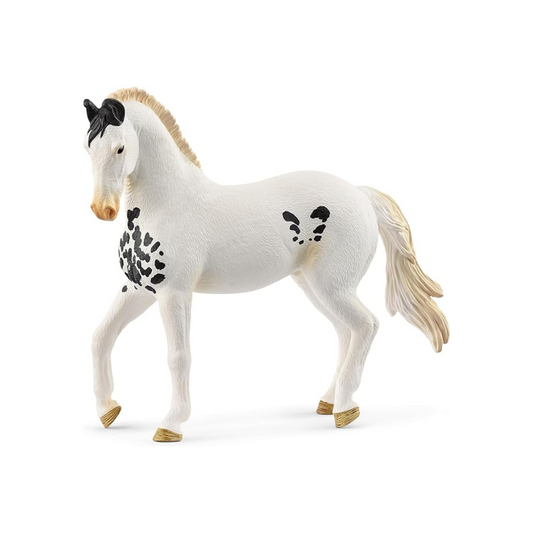 Schleich Horse Club Marwari (Male) 14898