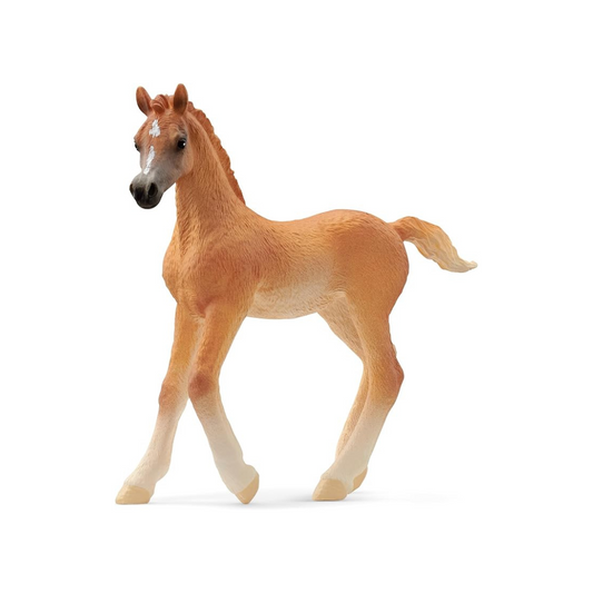 Schleich Horse Club Arabian (foal) 13984