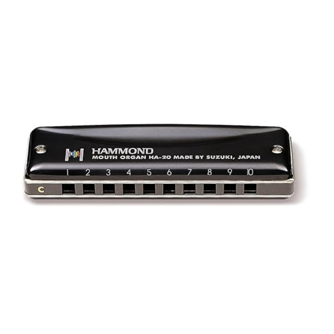 Suzuki-Promaster-Hammond-G