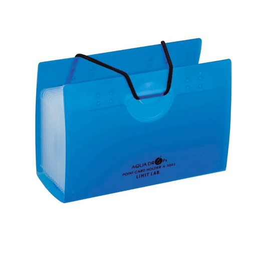 Lihit Lab Card Case Point Card Holder Blue 20 Cards Storage A5003-8