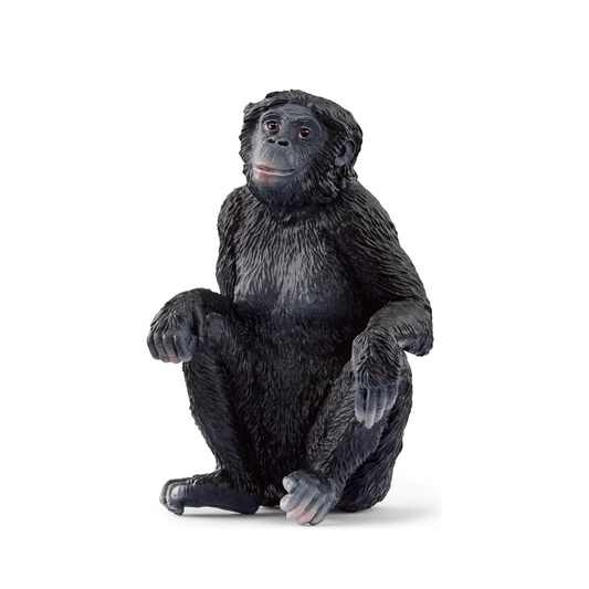 Schleich Wildlife Bonobo Female