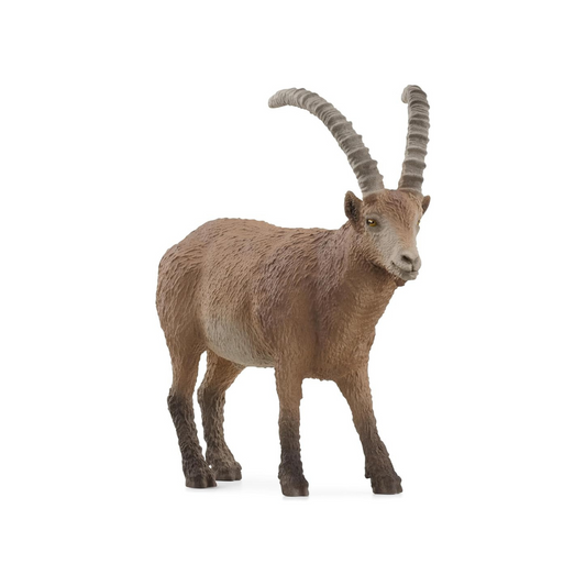 Schleich Wildlife Ibex 14873