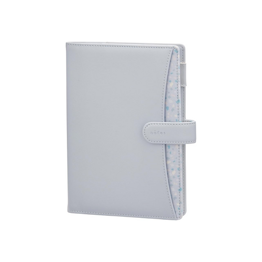 Raymay Fujii RFD2546A 2025 Schedule Book, Weekly Left, B6, Stone Blue, Begins December 2024