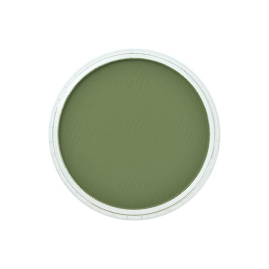 PanPastel Chrome Oxide Green Shade 26603