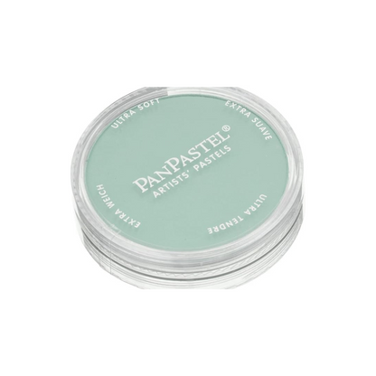 PanPastel Orange Tint 22808