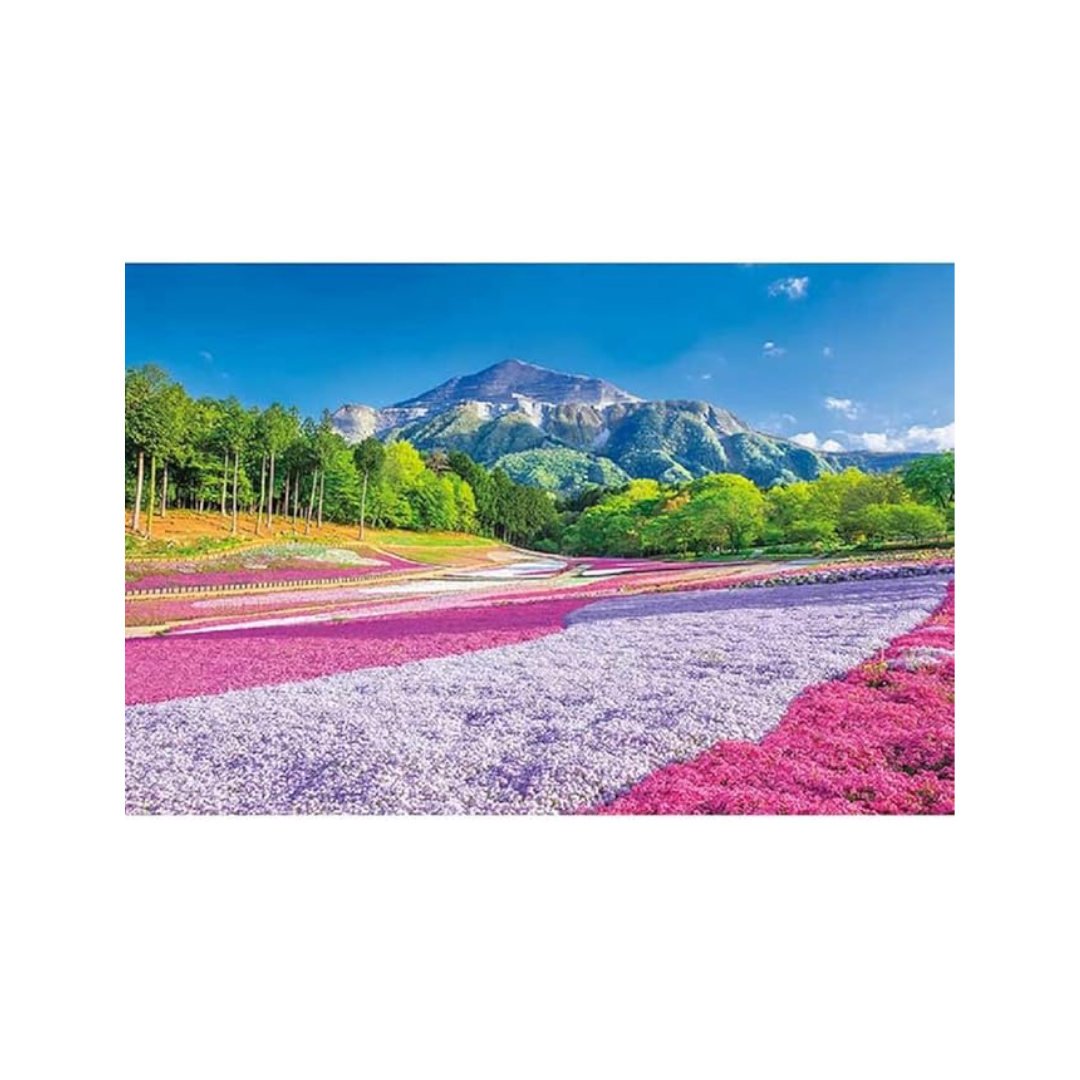 Apple One 1000 Piece Jigsaw Puzzle, Spring Carpet Hitsuchiyama Park