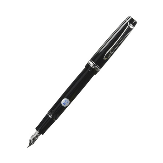 Pilot Fountain Pen Custom Heritage 91, M-Nib, Black Body (FKVH-1MR-BM)